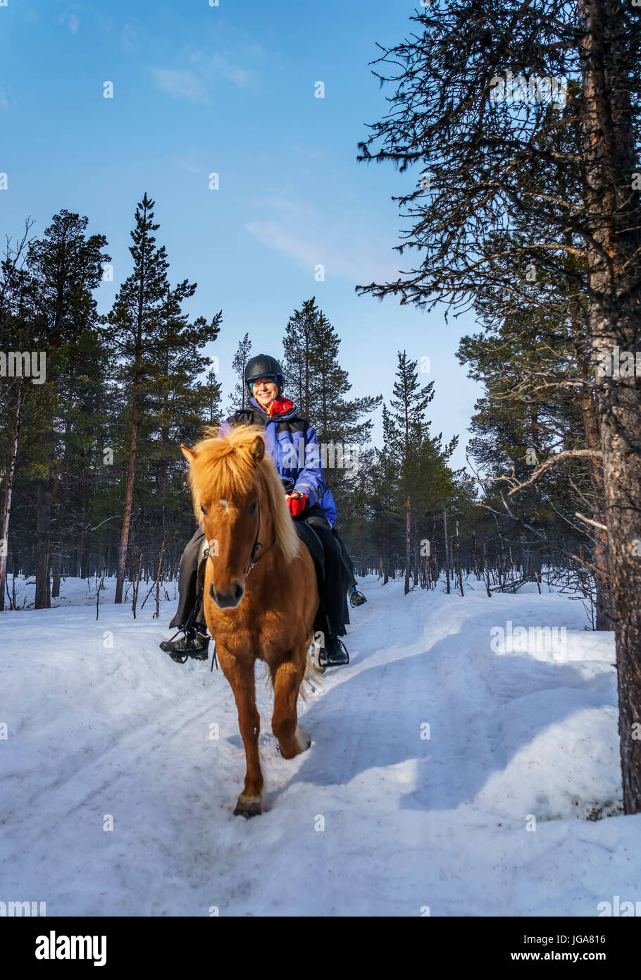 Reiten im Winter, Lappland, Schweden Stockfoto