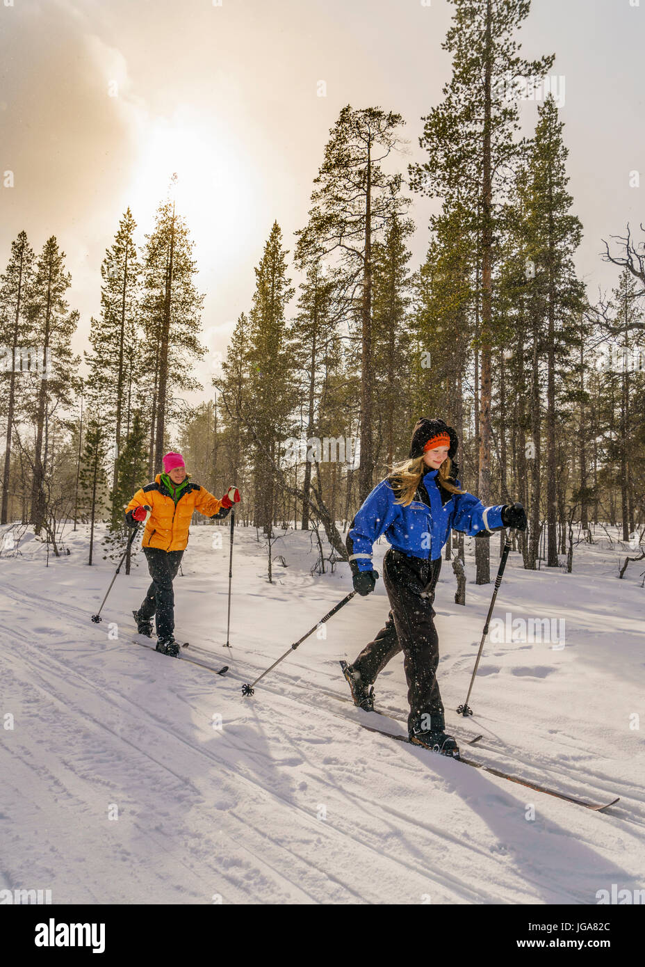 Langlauf, Lappland, Finnland Stockfoto