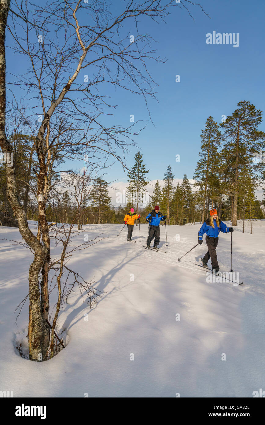 Langlauf, Lappland, Finnland Stockfoto