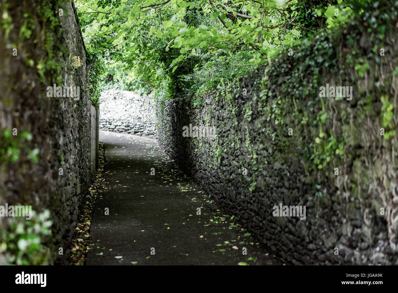 Dingle Halbinsel, Irland Stockfoto