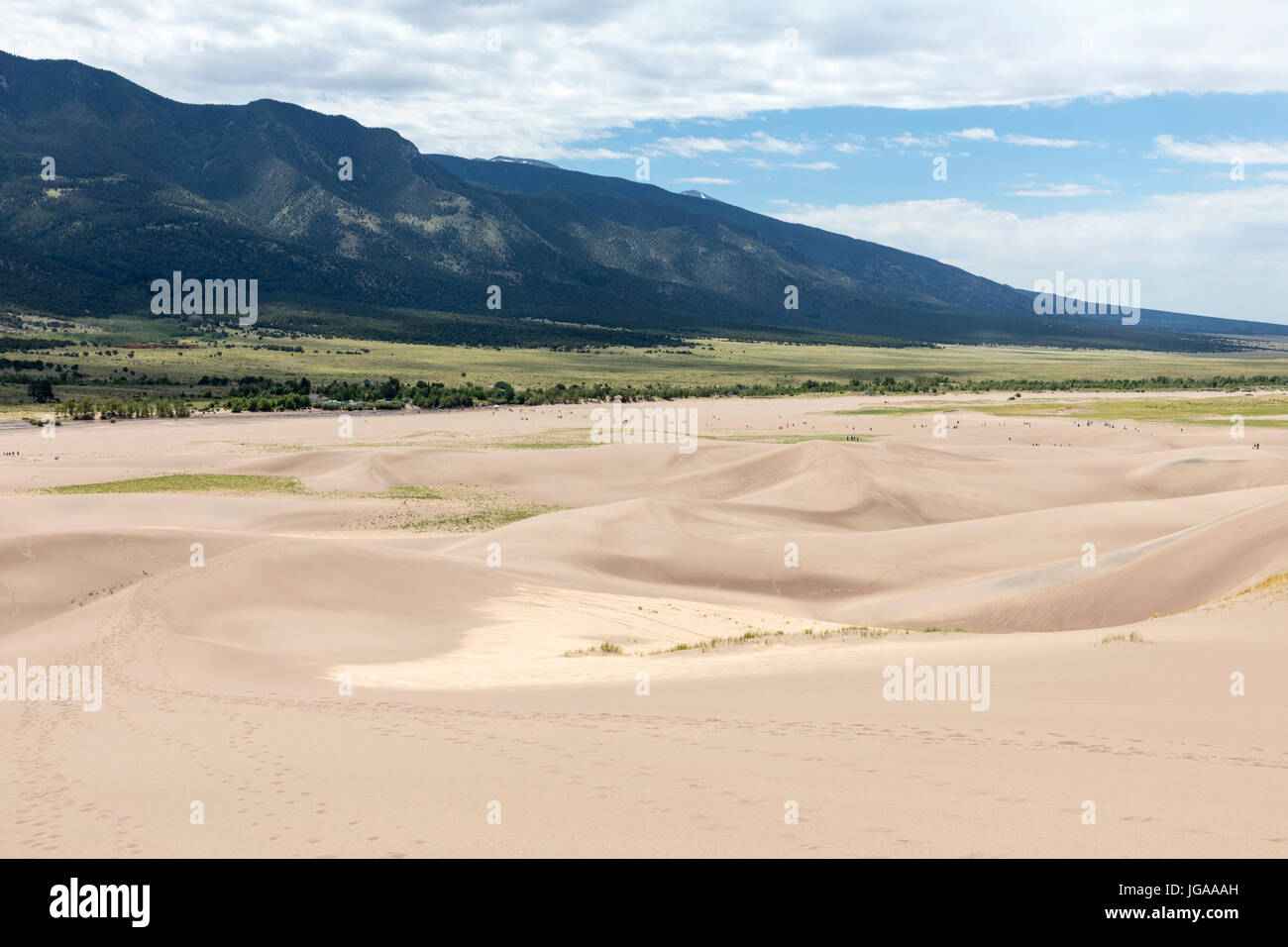Great Sand Dunes National Park & zu bewahren; San Luis Valley; Colorado; USA; 44.246 Hektar & vorbehalten eine zusätzliche 41.686 Hektar; Höchsten Sanddünen Stockfoto