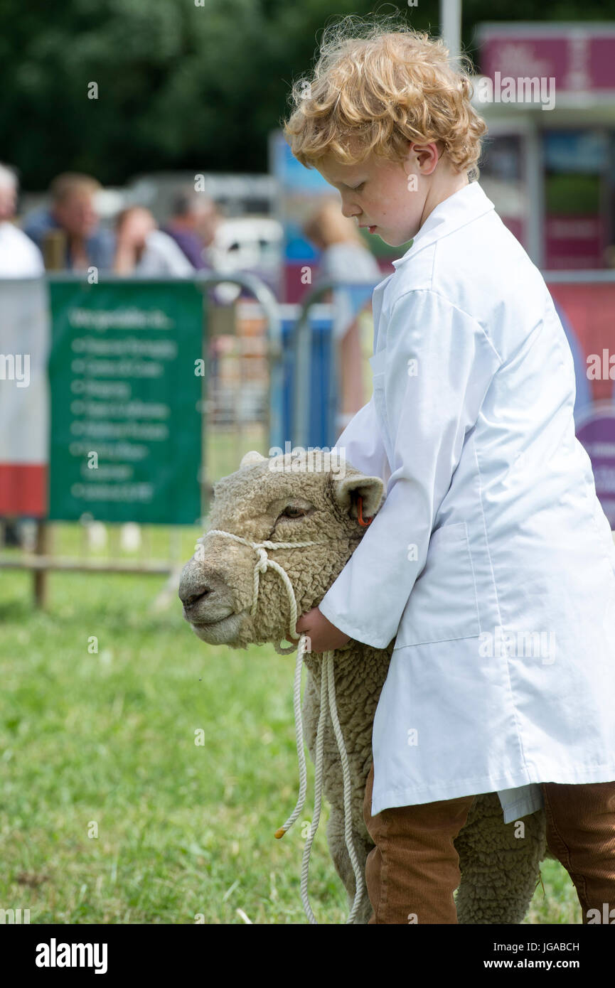 Ovis Aries. Kleiner Junge zeigt ein Schaf Southdown Hanbury Land zeigen, Worcestershire. UK Stockfoto