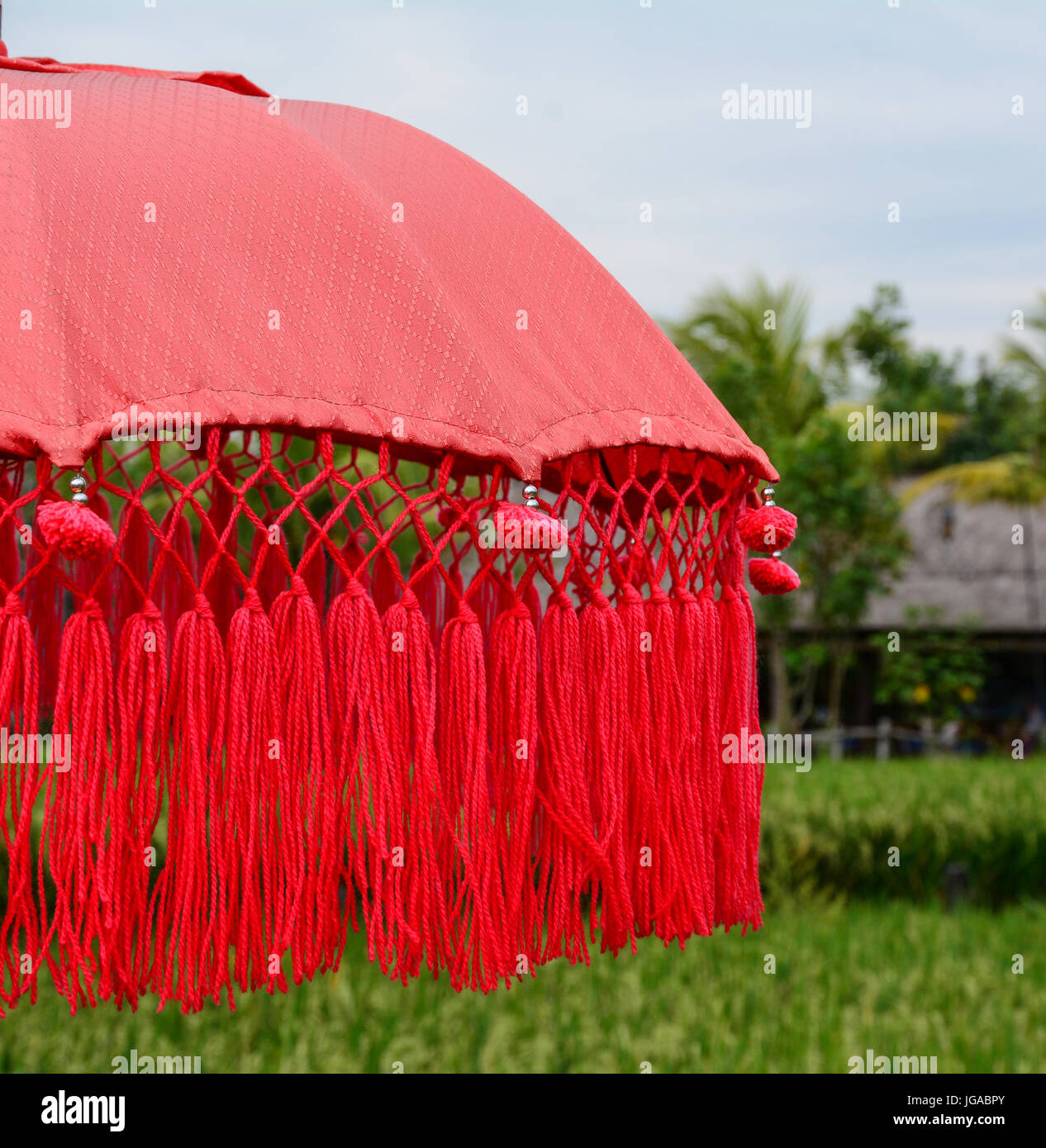Balinesische roten Regenschirm auf dem Reisfeld in Bali, Indonesien. Hautnah. Stockfoto