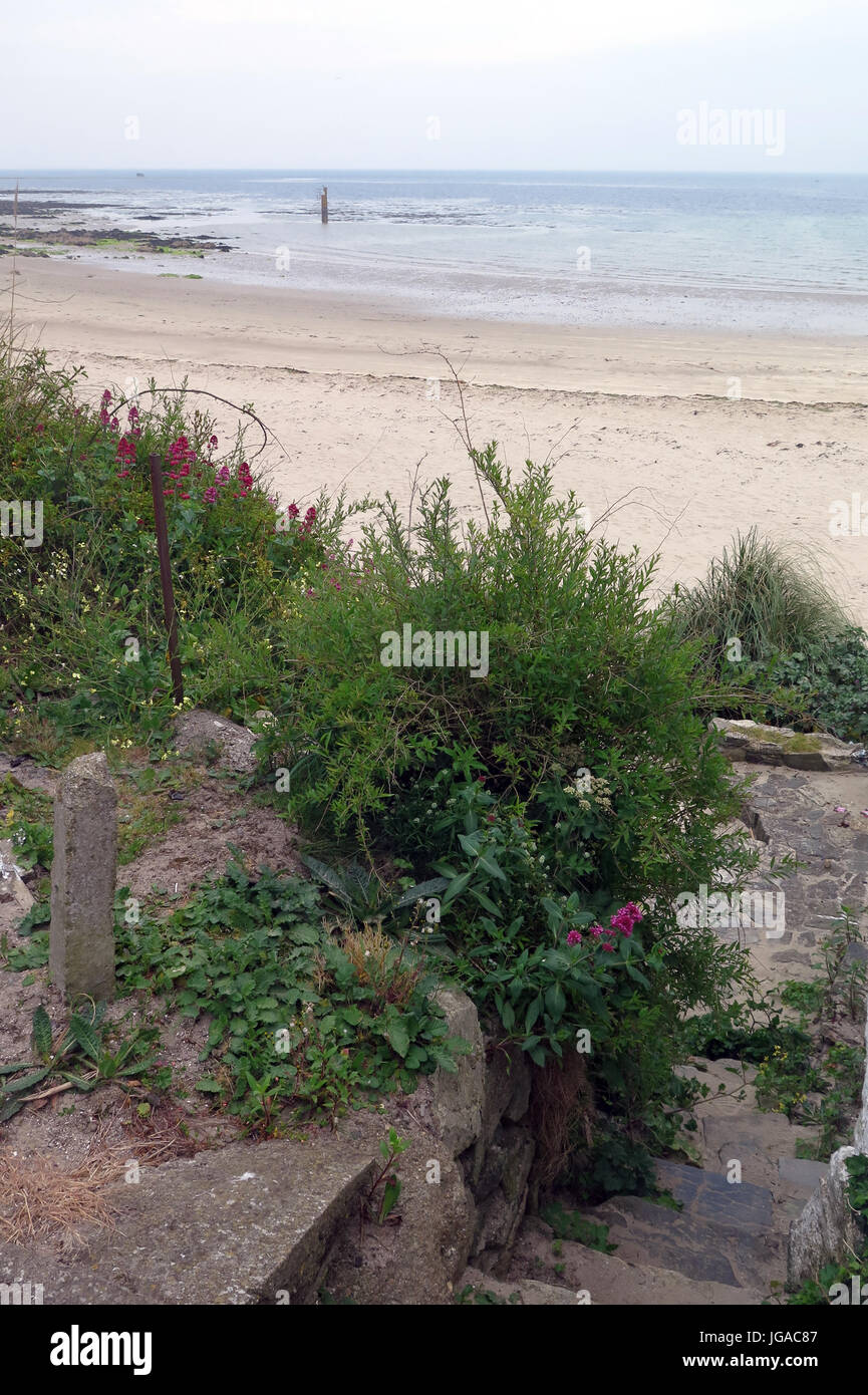 Kilmore Quay, Irland Stockfoto