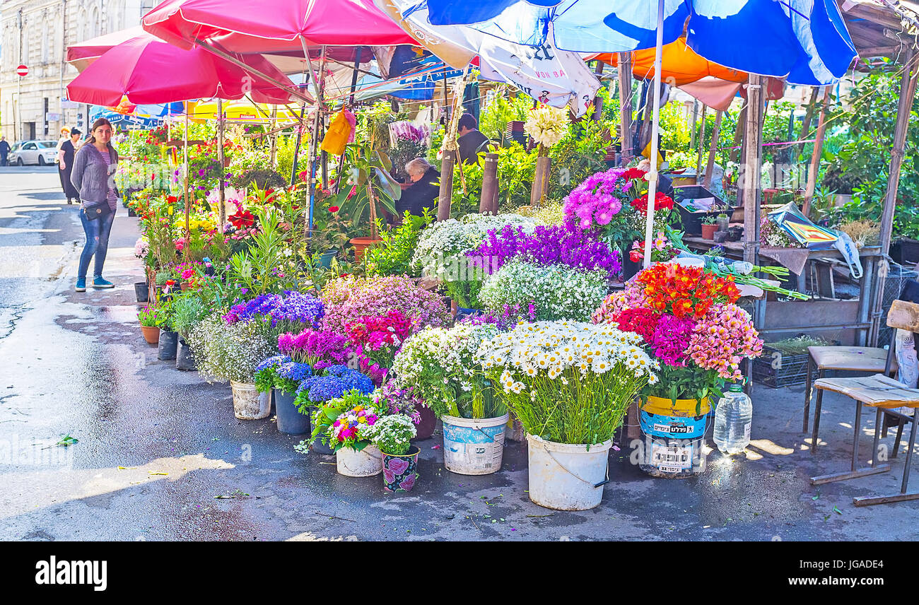 TBILISI, Georgien - 5. Juni 2016: Die Stände des Blumengroßmarktes in Mtazminda Bezirk breites Angebot an frischen Schnittblumen und Blumenkompositionen, Stockfoto