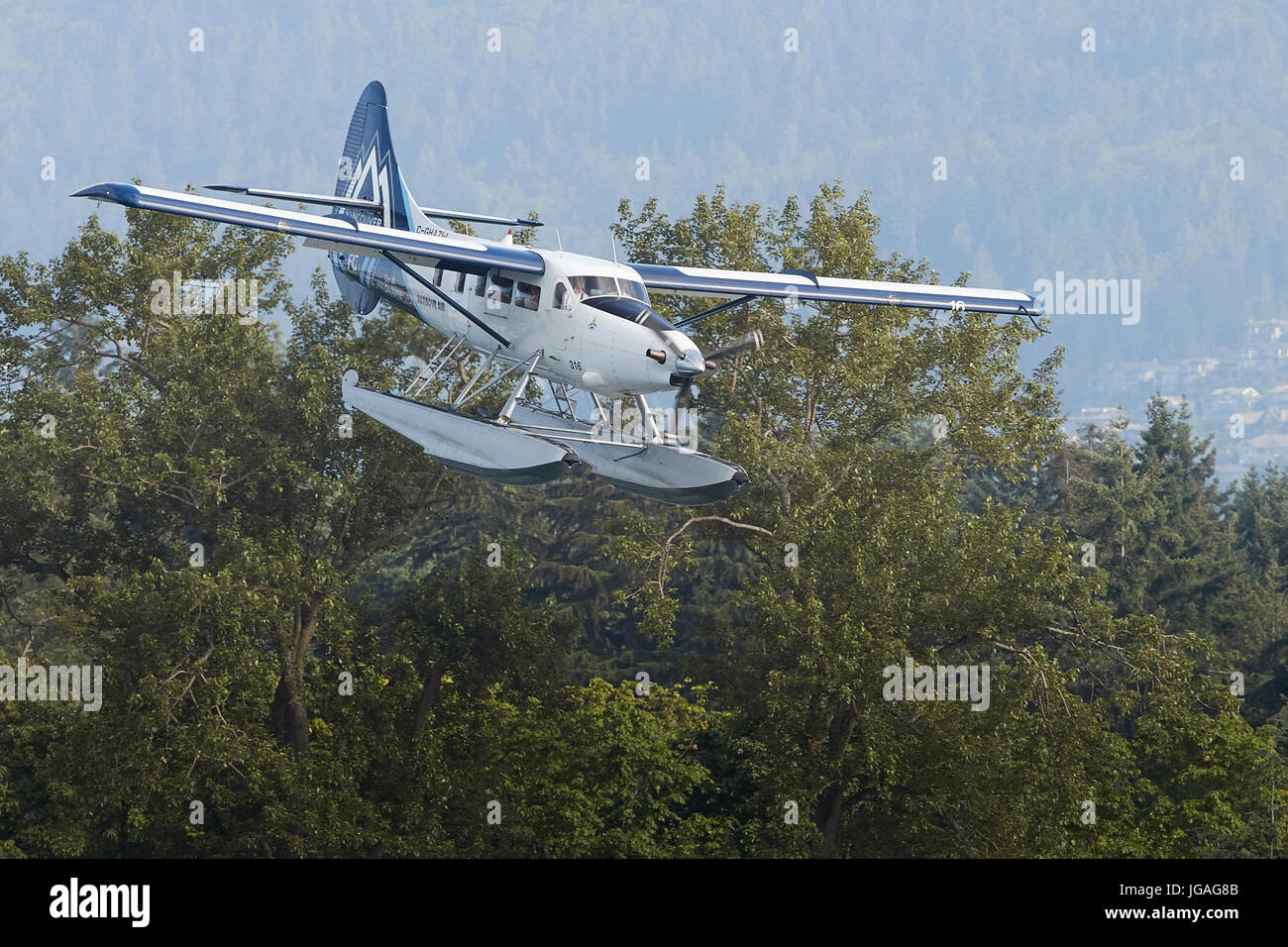 Harbour Air turbo Otter floatplane in die Vancouver Whitecaps FC insignia fliegen tief über die Bäume in British Columbia, Kanada. Stockfoto