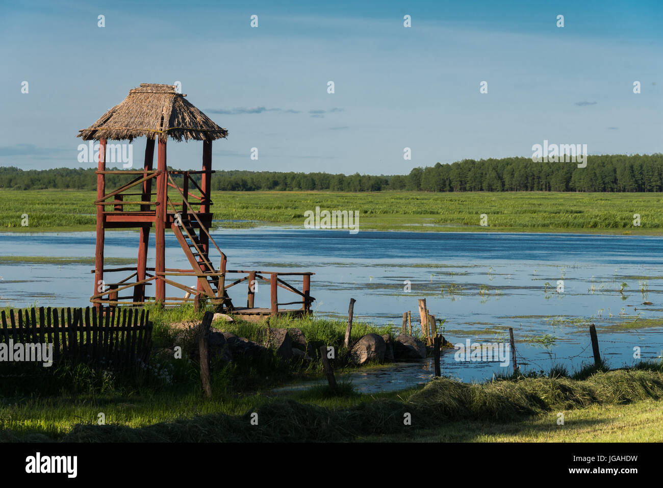 Nationalpark Biebrza-Flusstal Stockfoto