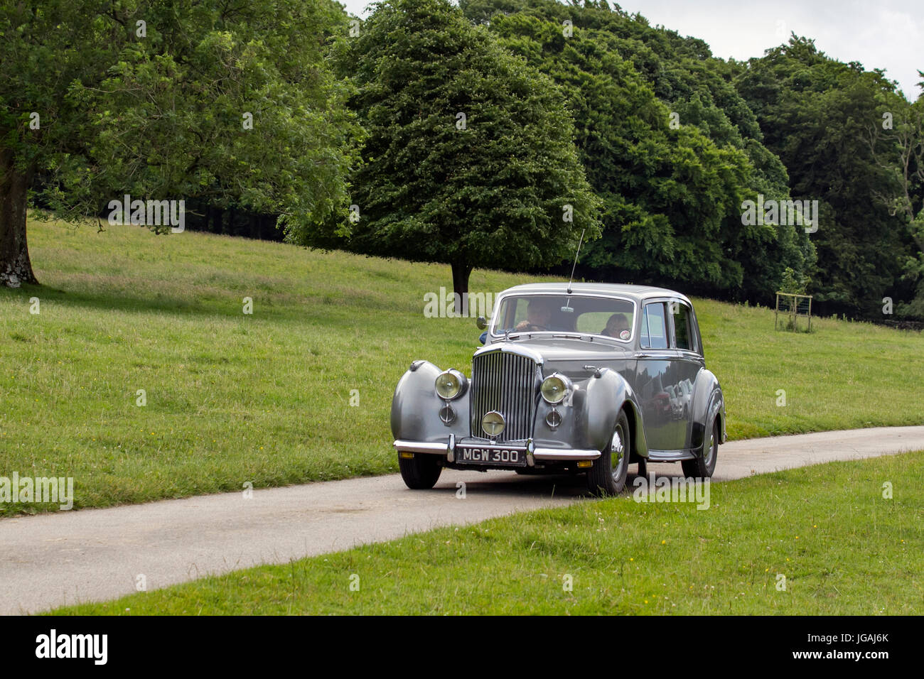 1951 50s grey Bentley 4566cc petrol 50s Klassische Limousine, Sammlerstück restaurierte Oldtimer, die im Woodland Park, Großbritannien, gefahren werden Stockfoto