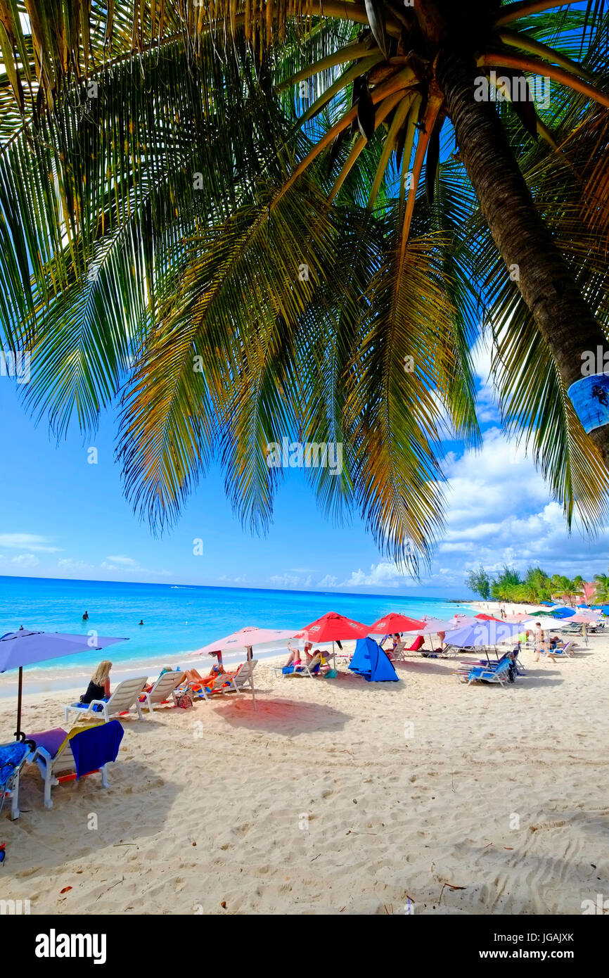 Bathsheba Bridgetown Barbados Southern Caribbean Cruise Celebrity cruise line Stockfoto