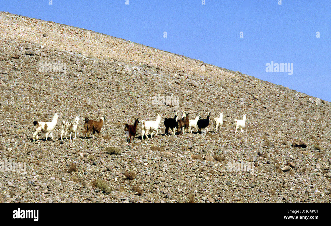 Chile, 1995 Stockfoto