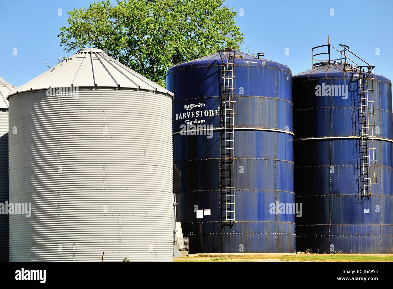 Lagerung der Ernte silos Schuppen auf einem nordöstlichen Illinois Bauernhof in Union, Illinois, USA. Stockfoto