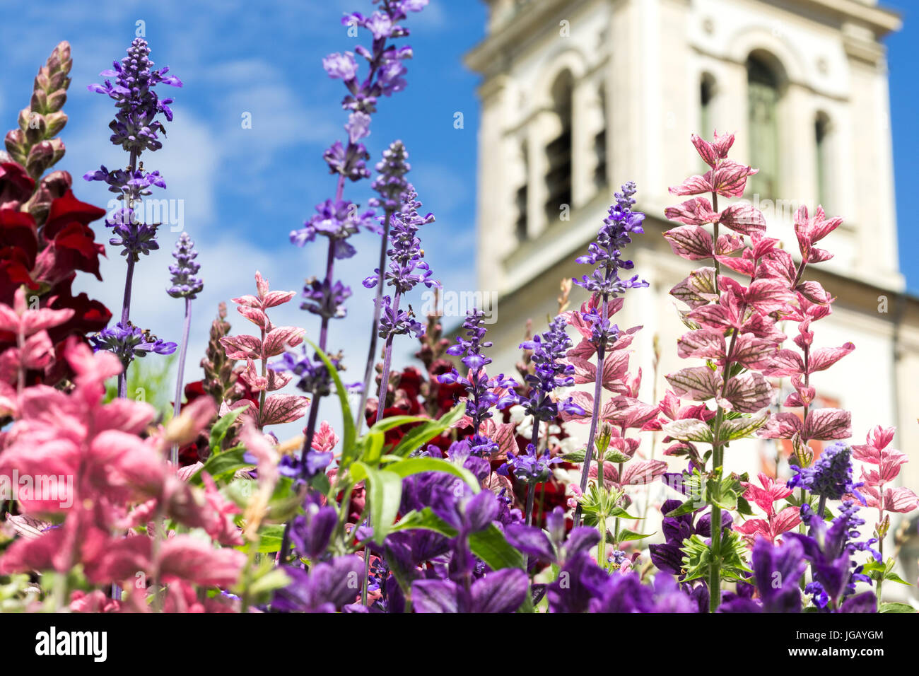 Grußkarte mit bunten Blumen und Kirche. schönen Sommer Blumen. Stockfoto
