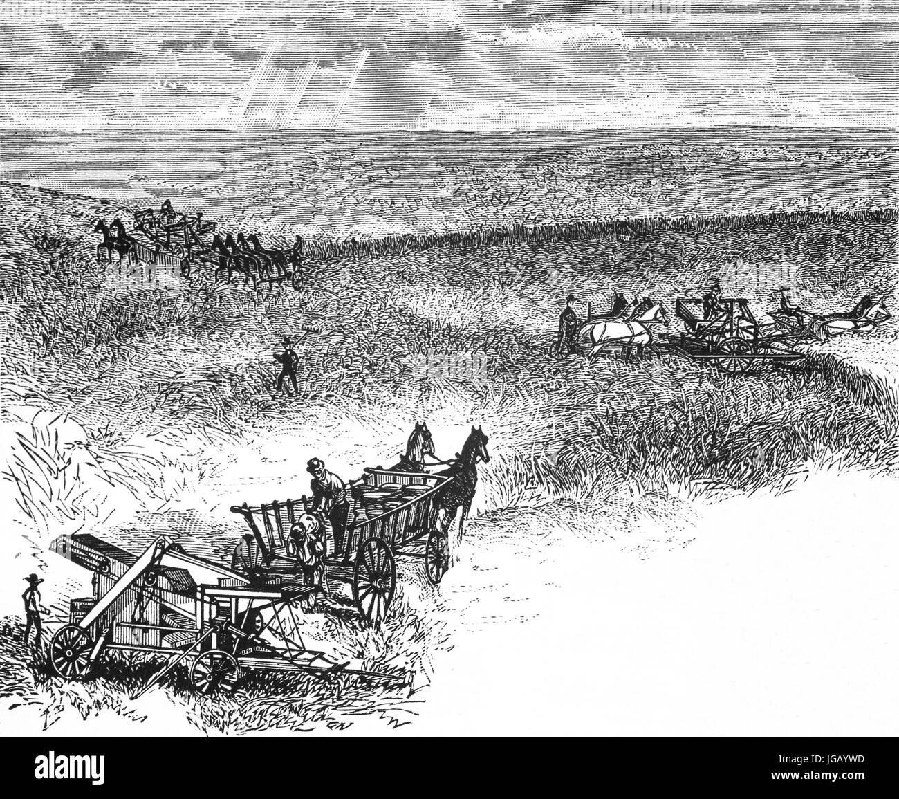 1879: beim Ernten von Weizen in Nebraska, Vereinigte Staaten von Amerika Stockfoto