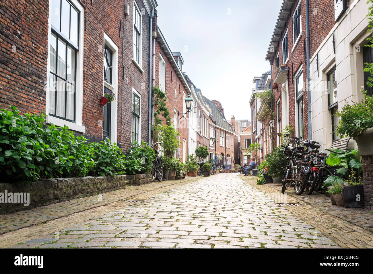 Charmante Straße in der Altstadt von Haarlem, Niederlande Stockfoto