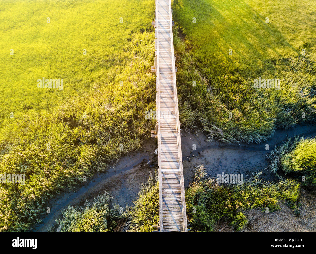 Holzbrücke über einen Sumpf-Luftbild Stockfoto