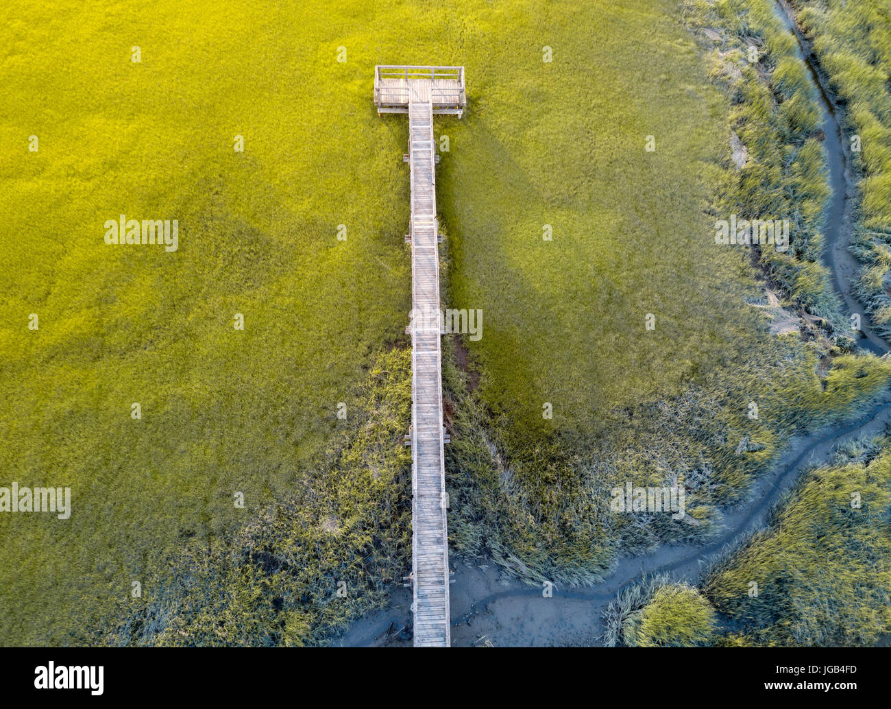Luftaufnahme von einer Holzbrücke über einen Sumpf Stockfoto