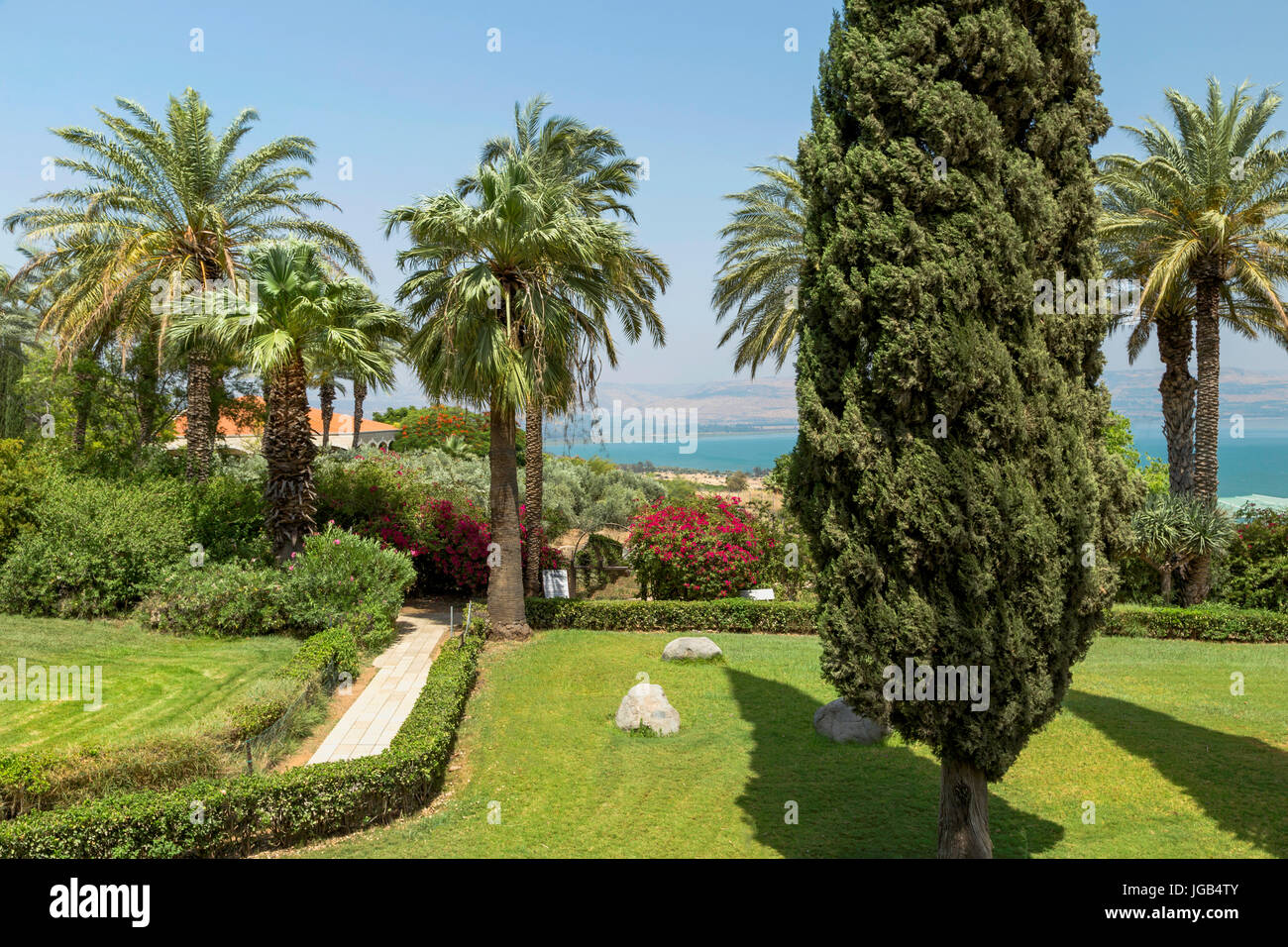 Palmen in den Garten der Seligpreisungen Kirche mit Blick auf den See