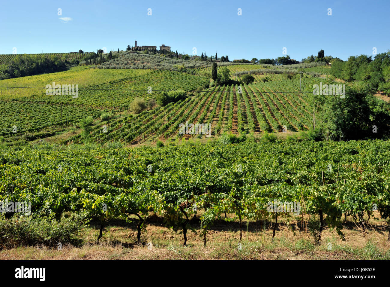 Weinberge, Borgo Montauto, San Gimignano, Toskana, Italien Stockfoto
