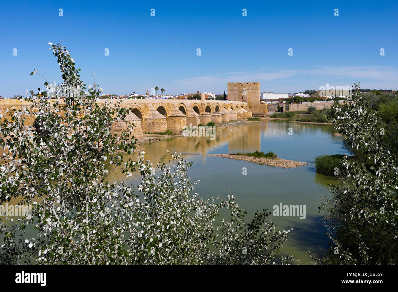 Cordoba, Provinz Córdoba, Andalusien, Südspanien.   Die römische Brücke, überqueren den Fluss Guadalquivir und führt zu der Calahorra Turm.  Die brid Stockfoto