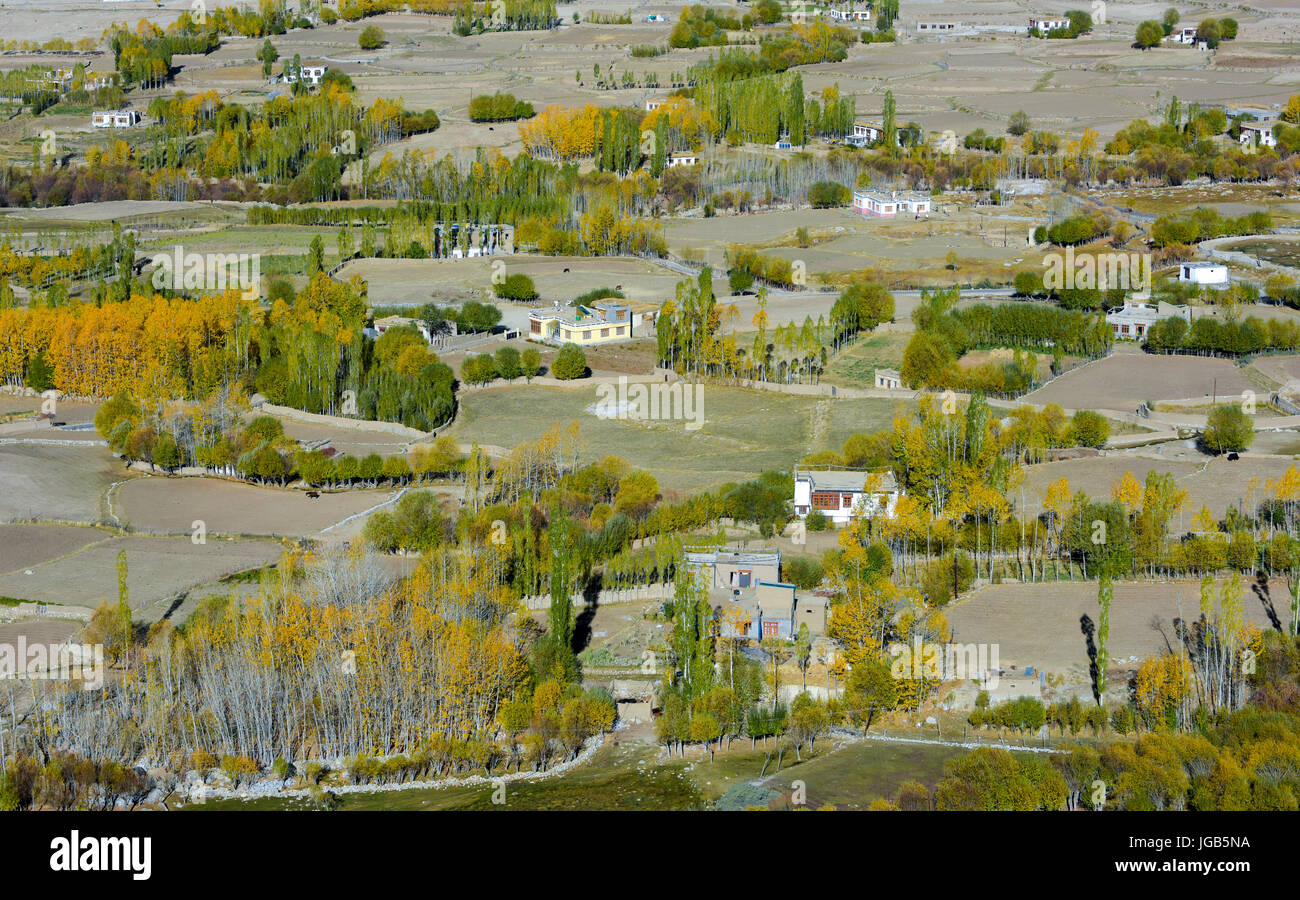 Aireal Blick auf Dorf in Leh, Ladakh, Indien Riel Stockfoto