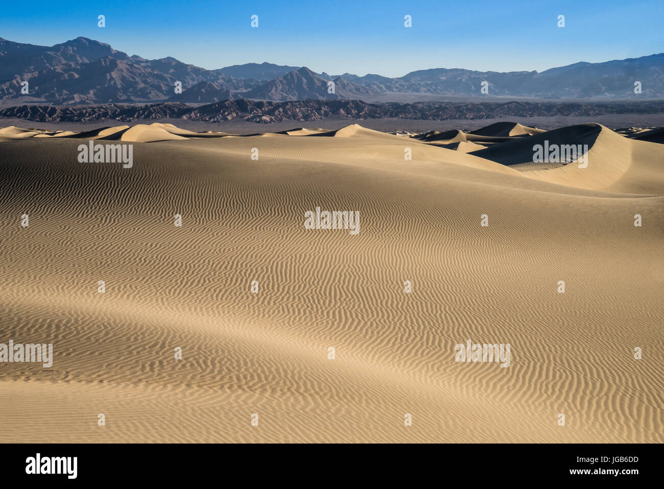 Die Mesquite Dünen befinden sich im Bereich Stovepipe Wells des Death Valley National Park in Kalifornien. Stockfoto