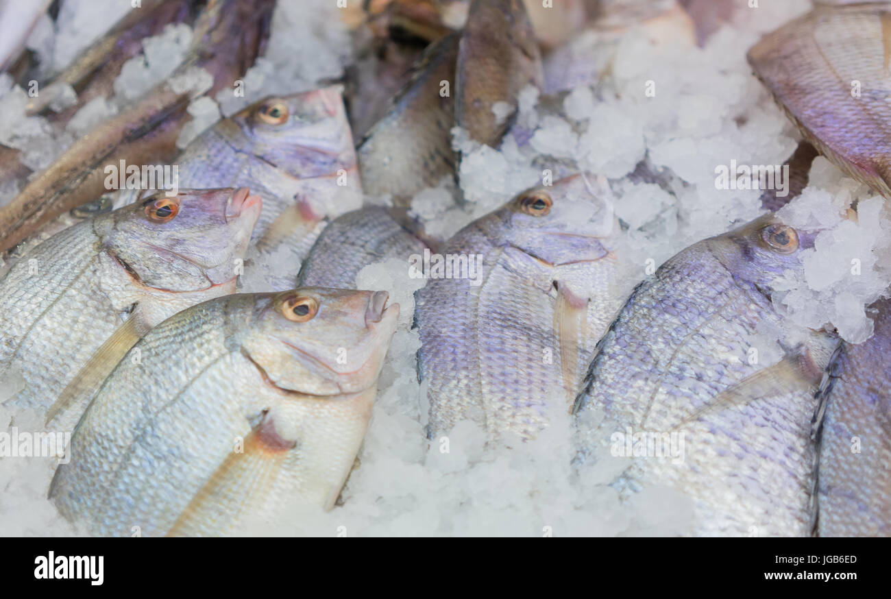 Frische ganze Fische gefangen am Fischmarkt Stockfoto