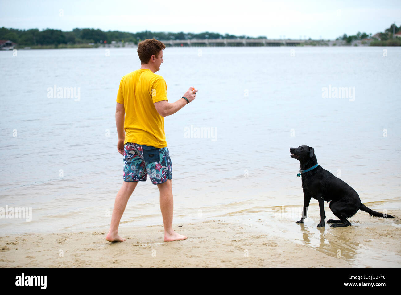 Schwarze Labrador Hund wartet an der Küste für ihren Besitzer, werfen Sie einen Ball zu holen Stockfoto