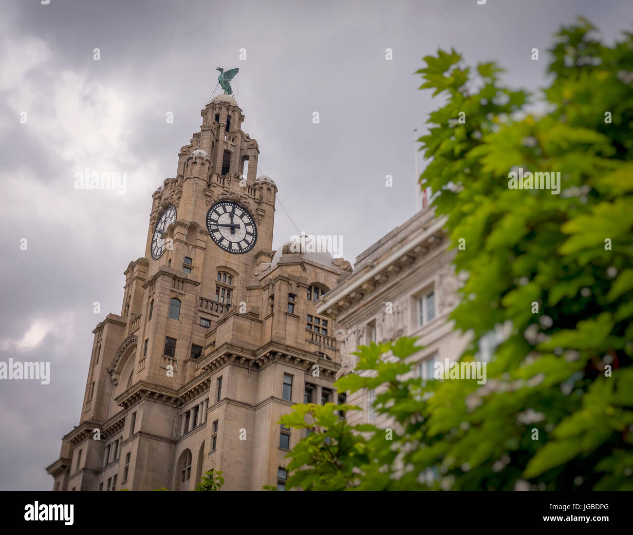 Das Royal Liver Building, Pier Head, Liverpool, Großbritannien Stockfoto