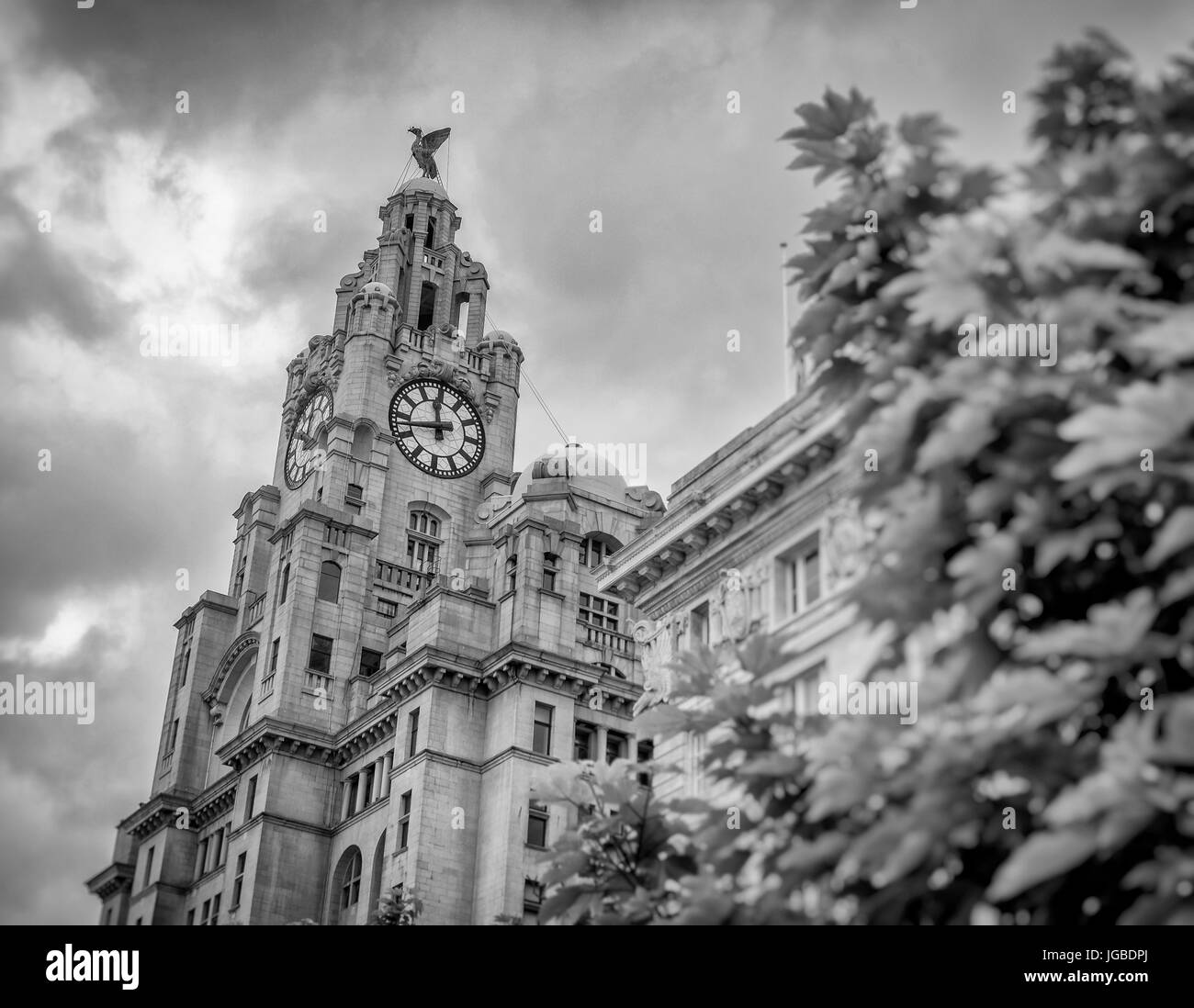 Das Royal Liver Building, Pier Head, Liverpool, Großbritannien Stockfoto