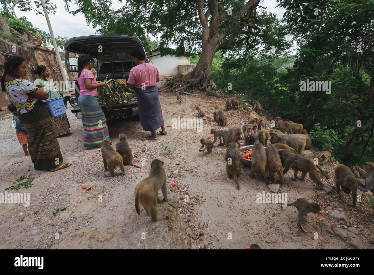 Eine Familie füttert Affe in Po gewinnen Taung Cave /Pagoda - Monywa - Sagaing Region - Norden Myanmars Stockfoto