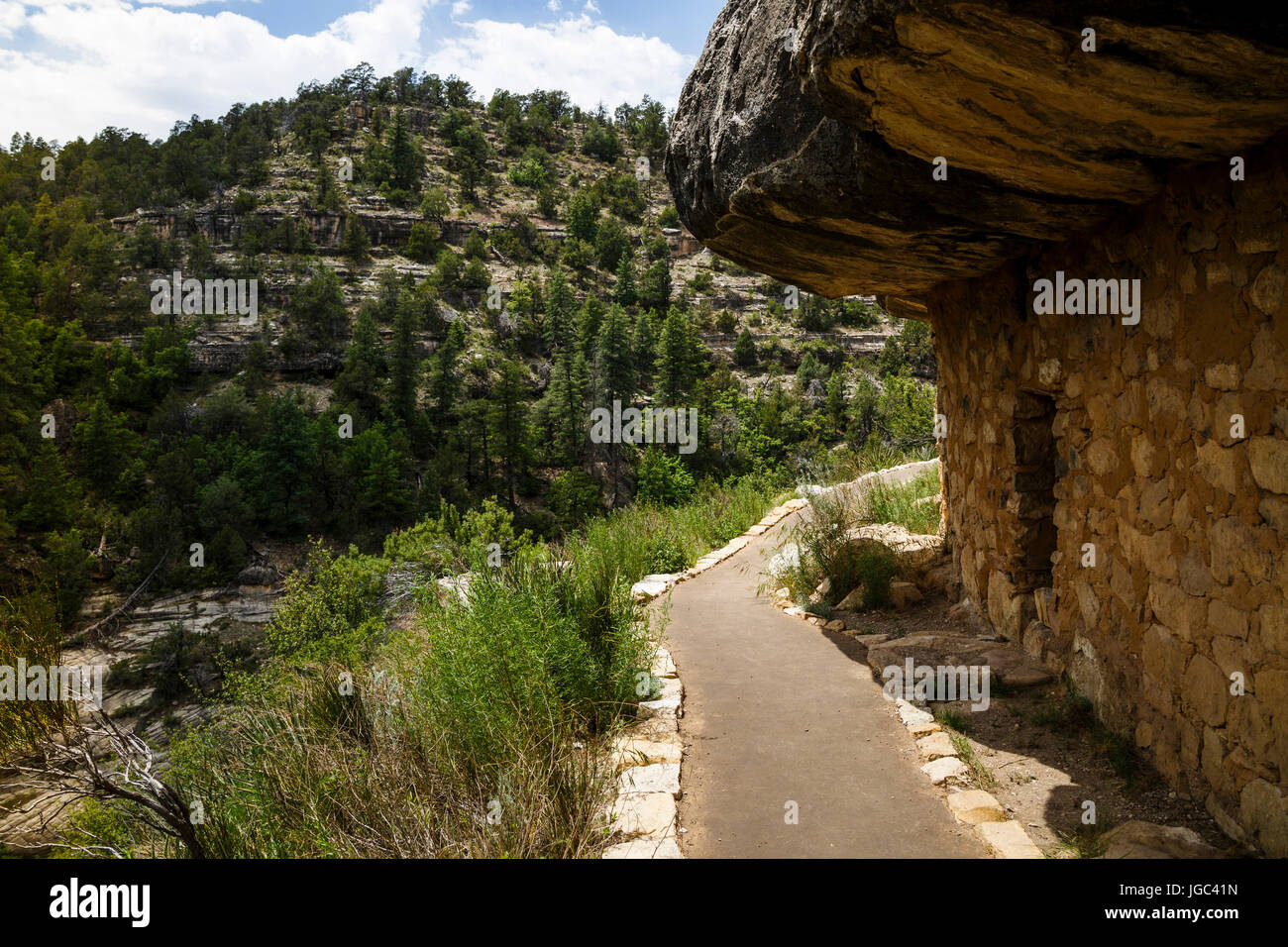 Walnut Canyon National Monument, Arizona, USA Stockfoto