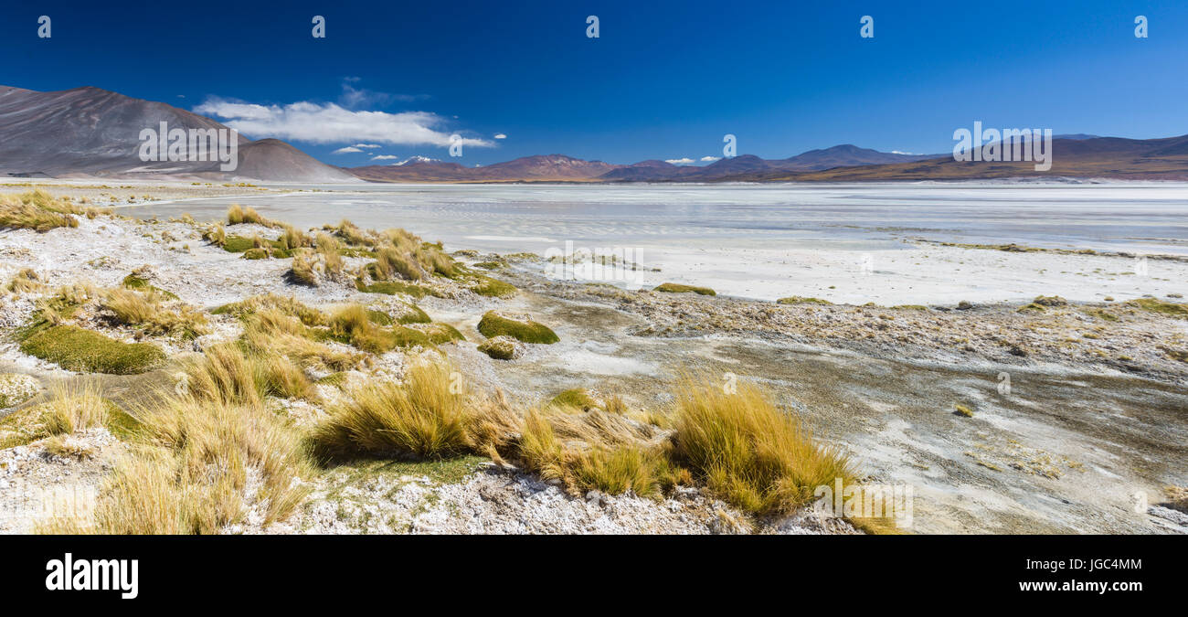Salar de Aguas Calientes, Atacama, Chile Stockfoto
