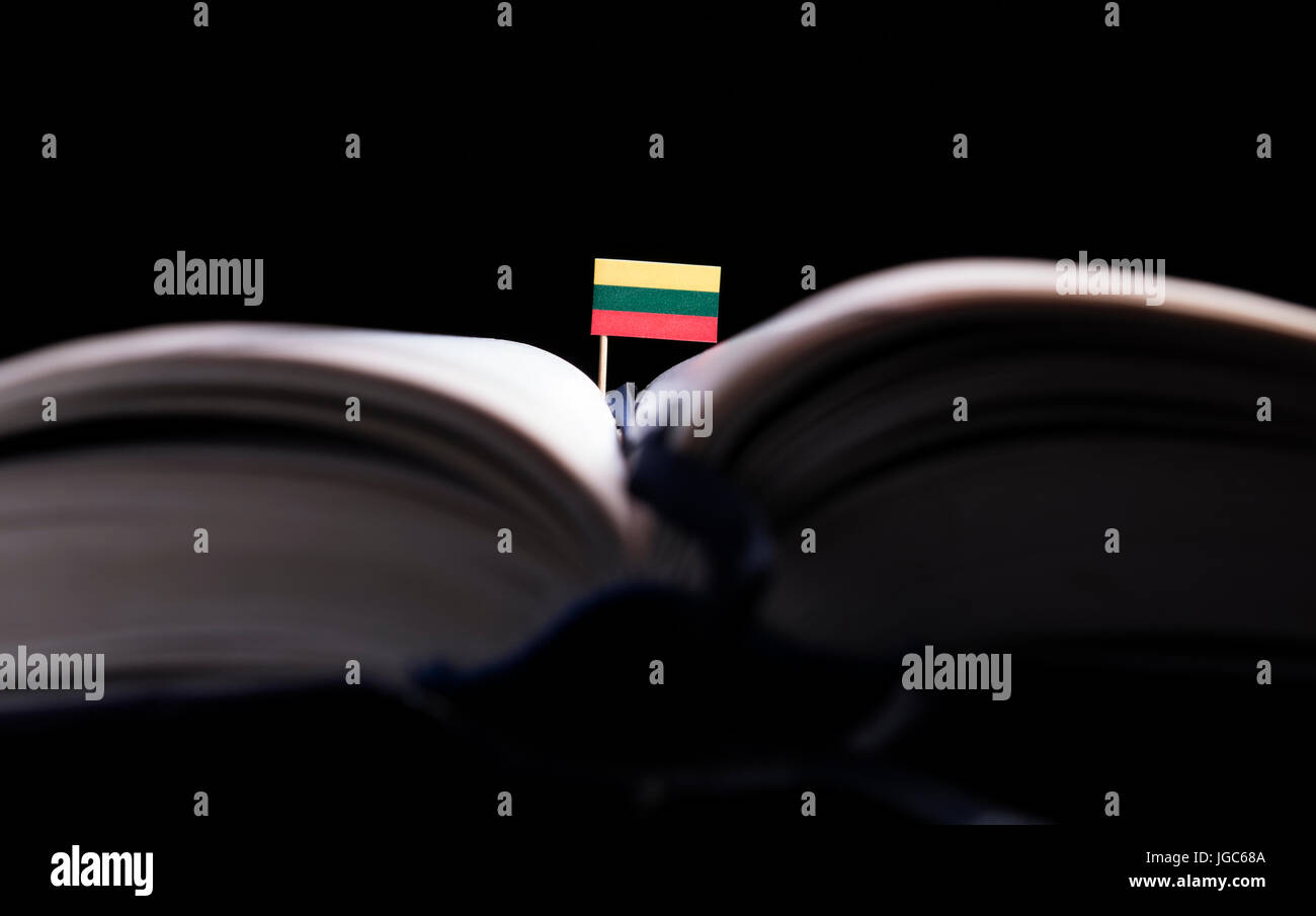 Litauische Flagge in der Mitte des Buches. Wissen und Bildung-Konzept. Stockfoto