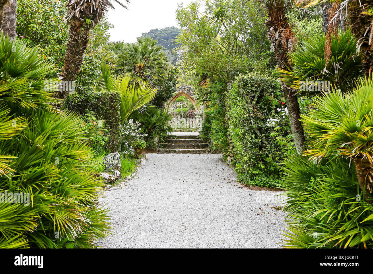 Ein Bogen, Teil der ursprünglichen Abtei bei Tresco Abbey Gardens, Tresco Insel, Isles of Scilly, England, Vereinigtes Königreich. Stockfoto Ein Bogen, Teil der ursprünglichen Abtei bei Tresco Abbey Gardens, Tresco Insel, Isles of Scilly, England, Vereinigtes Königreich. Stockfoto