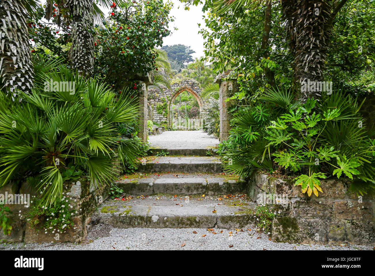 Ein Bogen, Teil der ursprünglichen Abtei bei Tresco Abbey Gardens, Tresco Insel, Isles of Scilly, England, Vereinigtes Königreich. Stockfoto Ein Bogen, Teil der ursprünglichen Abtei bei Tresco Abbey Gardens, Tresco Insel, Isles of Scilly, England, Vereinigtes Königreich. Stockfoto