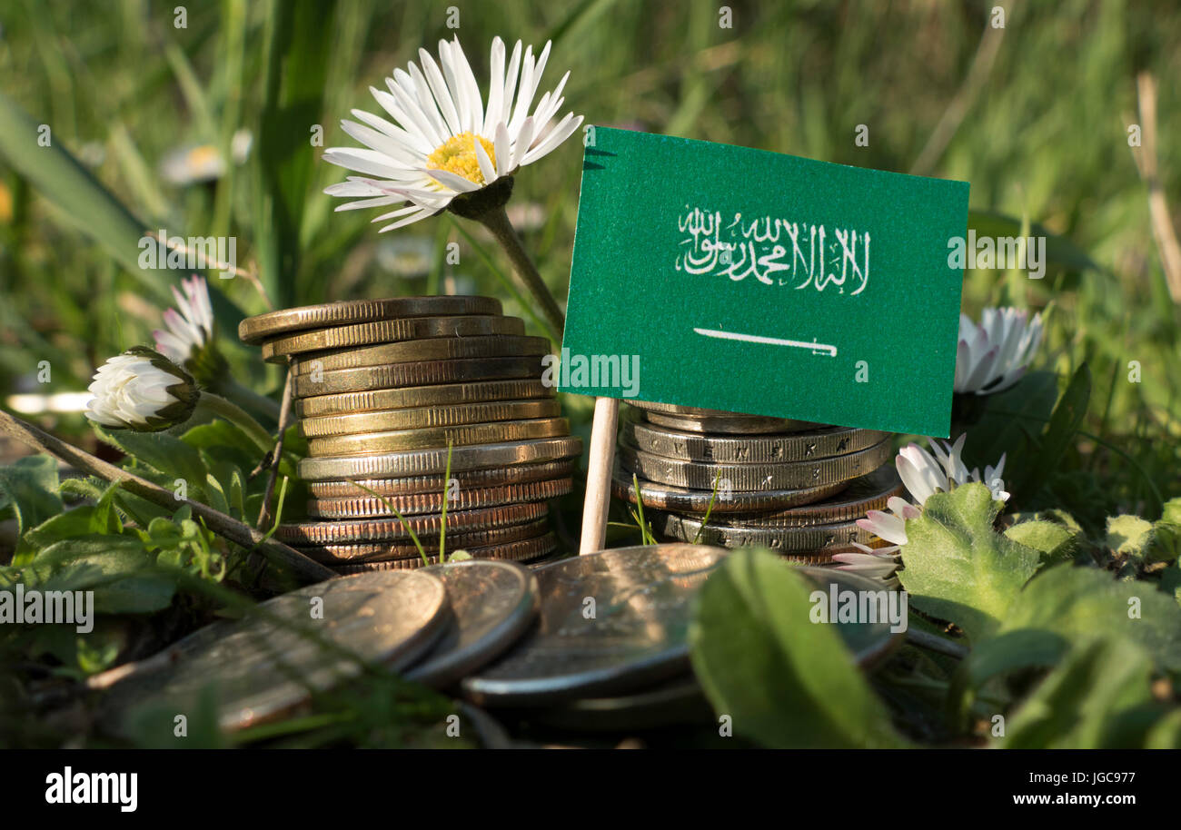 Saudi-Arabische Flagge mit Stapel von Geld Münzen mit Rasen und Blumen Stockfoto