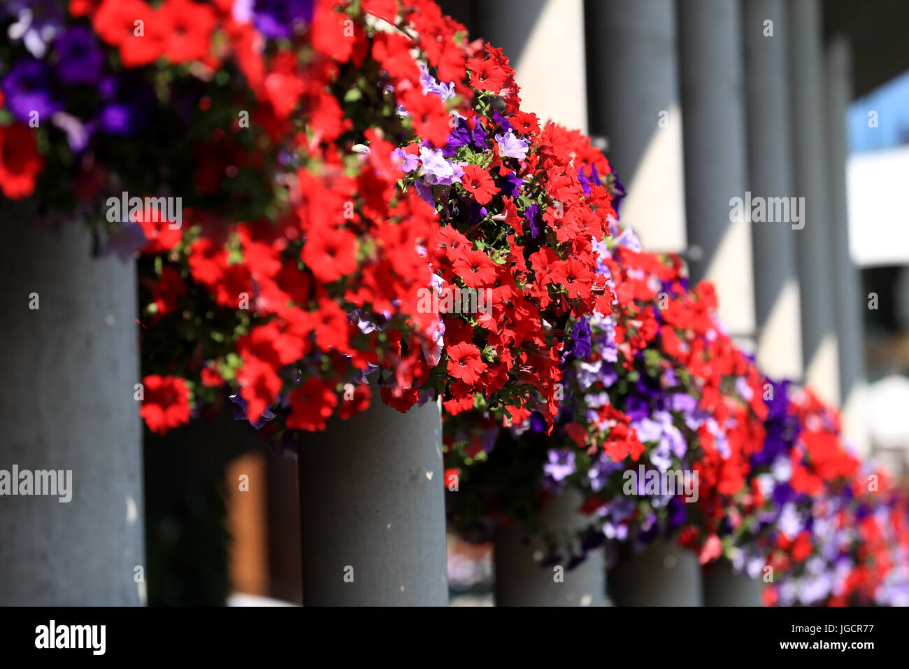 Blumenkörbe auf dem Gelände am dritten Tag der Wimbledon Championships im All England Lawn Tennis und Croquet Club, Wimbledon. DRÜCKEN SIE VERBANDSFOTO. Bilddatum: Mittwoch, 5. Juli 2017. Siehe PA Geschichte Tennis Wimbledon. Bildnachweis sollte lauten: Adam Davy/PA Wire. EINSCHRÄNKUNGEN: Nur für redaktionelle Zwecke. Keine kommerzielle Nutzung ohne vorherige schriftliche Zustimmung des AELTC. Nur für Standbilder – keine bewegten Bilder, die Broadcast emulieren können. Keine Überlagerung oder Entfernung von Sponsoren-/Werbelogos. Stockfoto