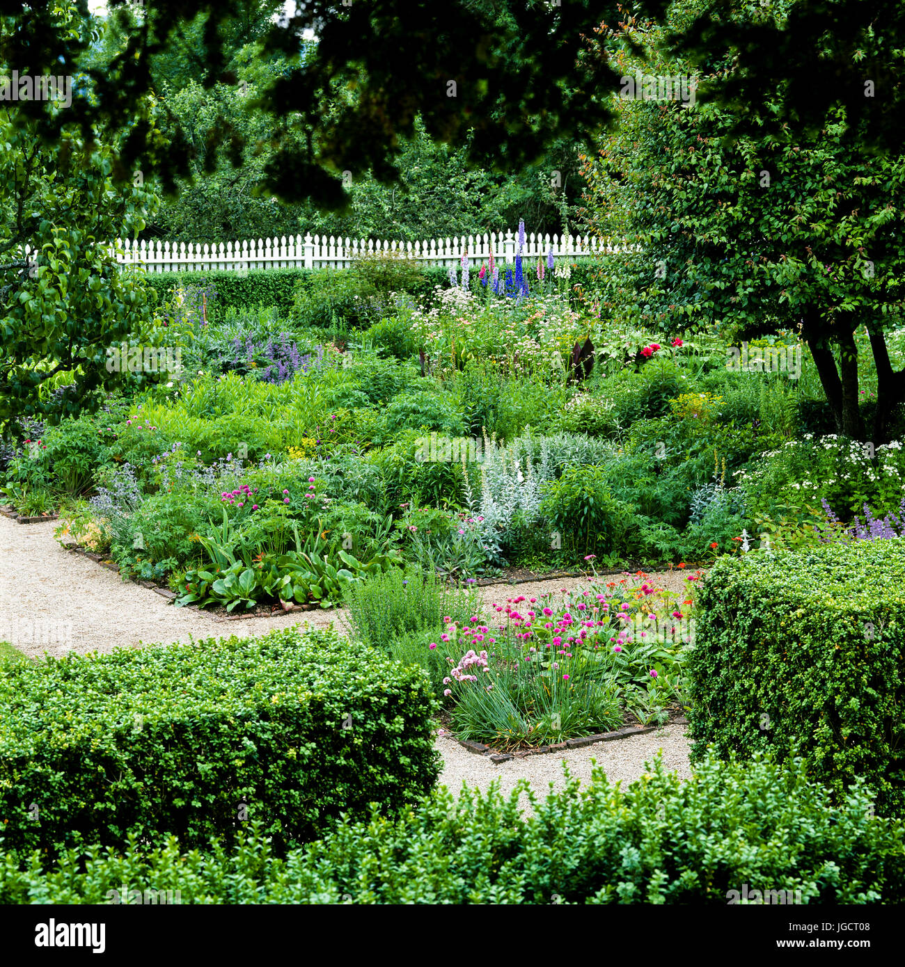 Blume Garten mit Hecken Stockfoto