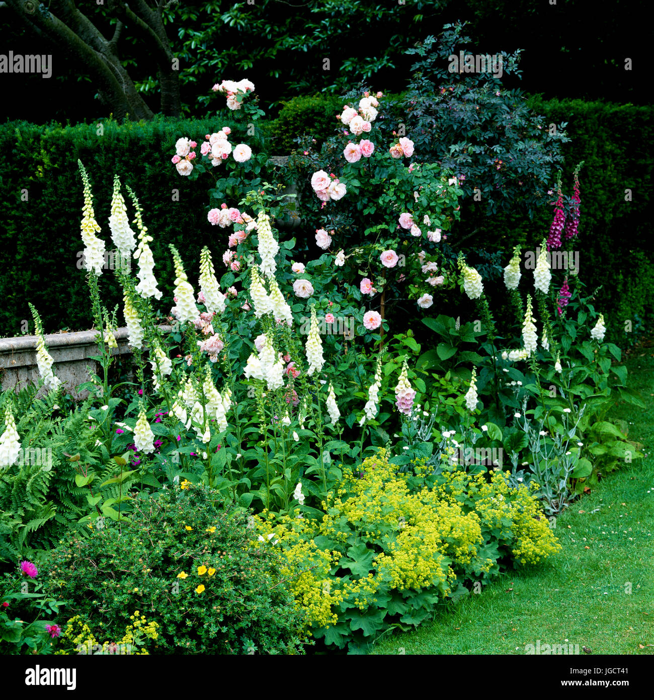 Blumenbeet im Garten Stockfoto