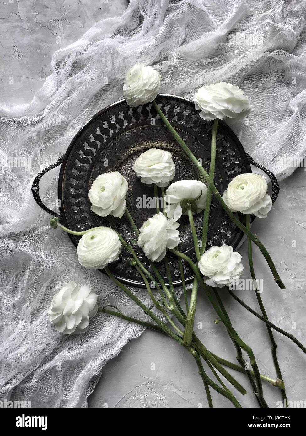 Weiße Ranunkeln Blumen auf einem Zinn Teller und Musselin Stockfoto