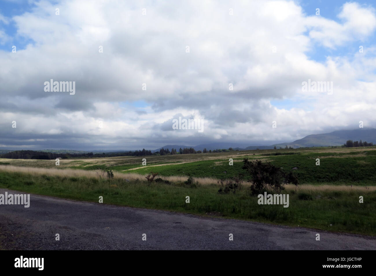 Killarney National Park, Irland IE Stockfoto