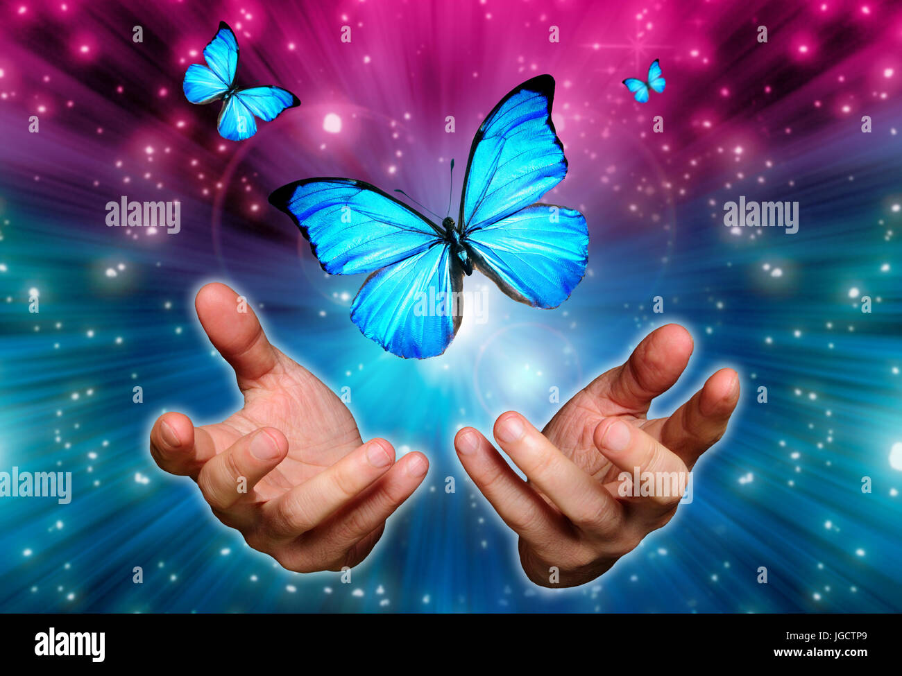 Öffnen Sie männliche Hände und Schmetterlinge fliegen Stockfoto