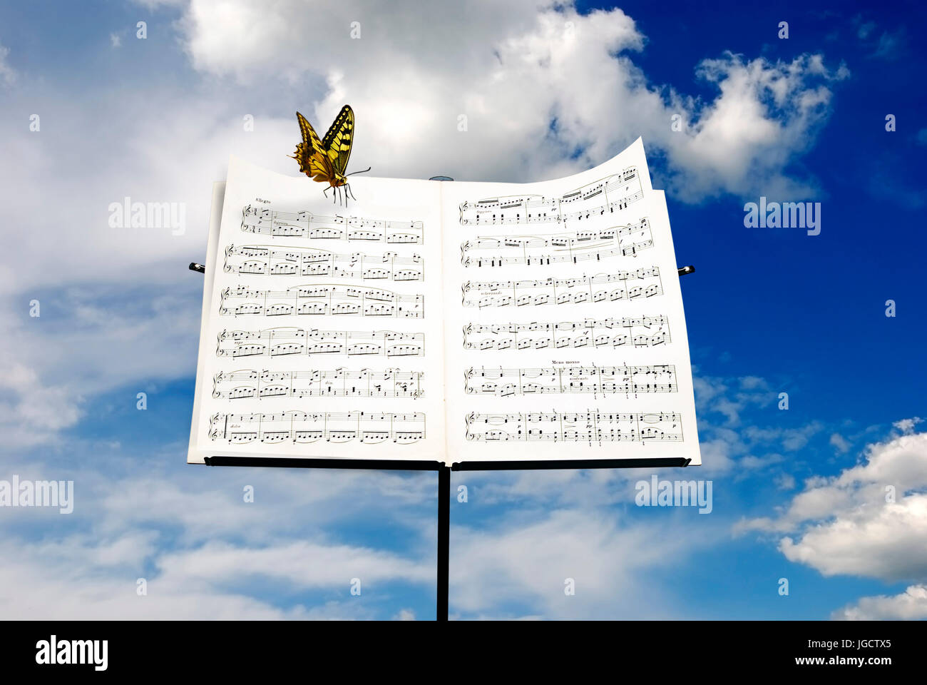 Schmetterling ruht auf einem Notenständer Stockfoto