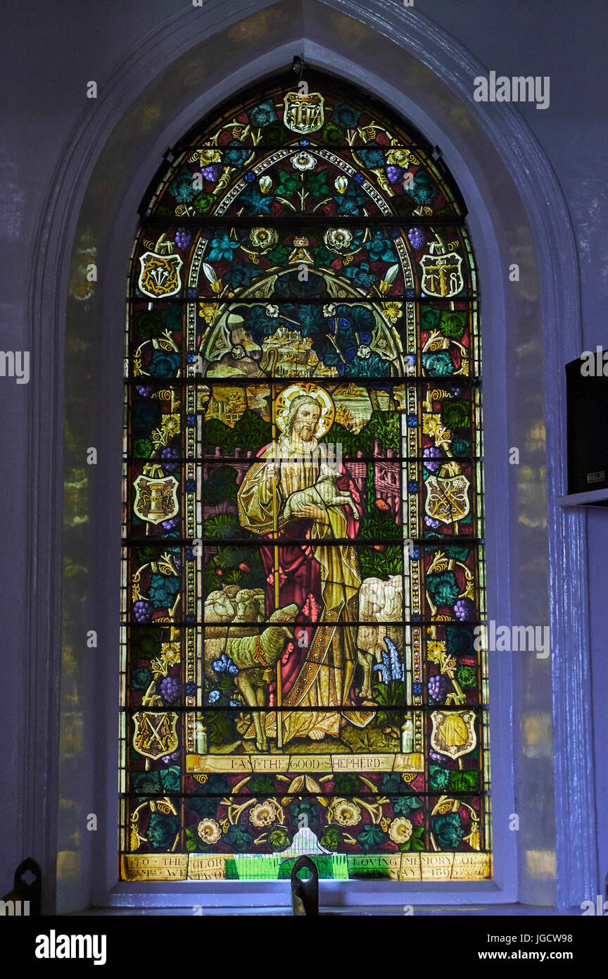 Glasfenster von Saint Stephen Kirche Ooty, Tamil Nadu, Indien, Asien Stockfoto