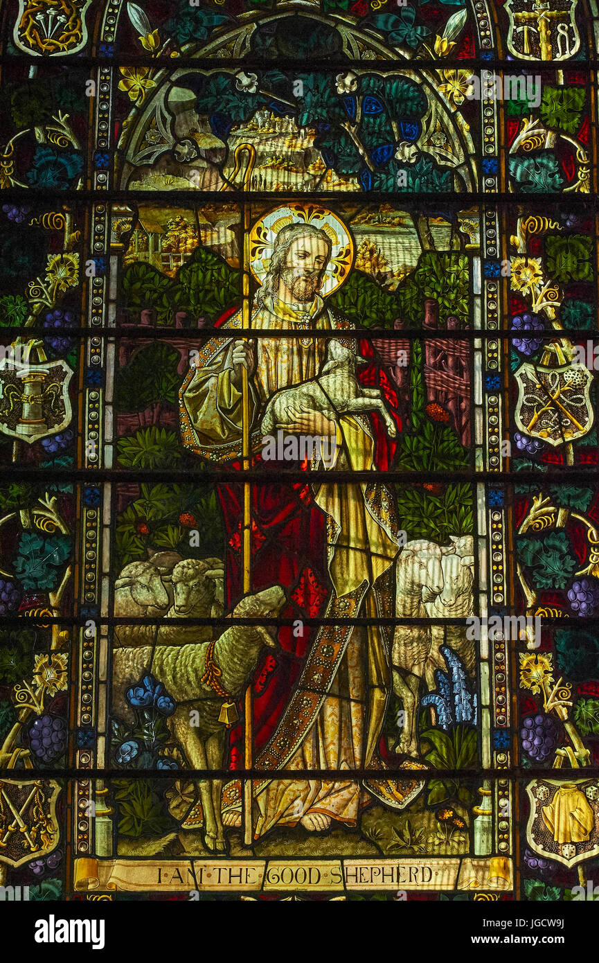 Glasfenster von Saint Stephen Kirche Ooty, Tamil Nadu, Indien, Asien Stockfoto