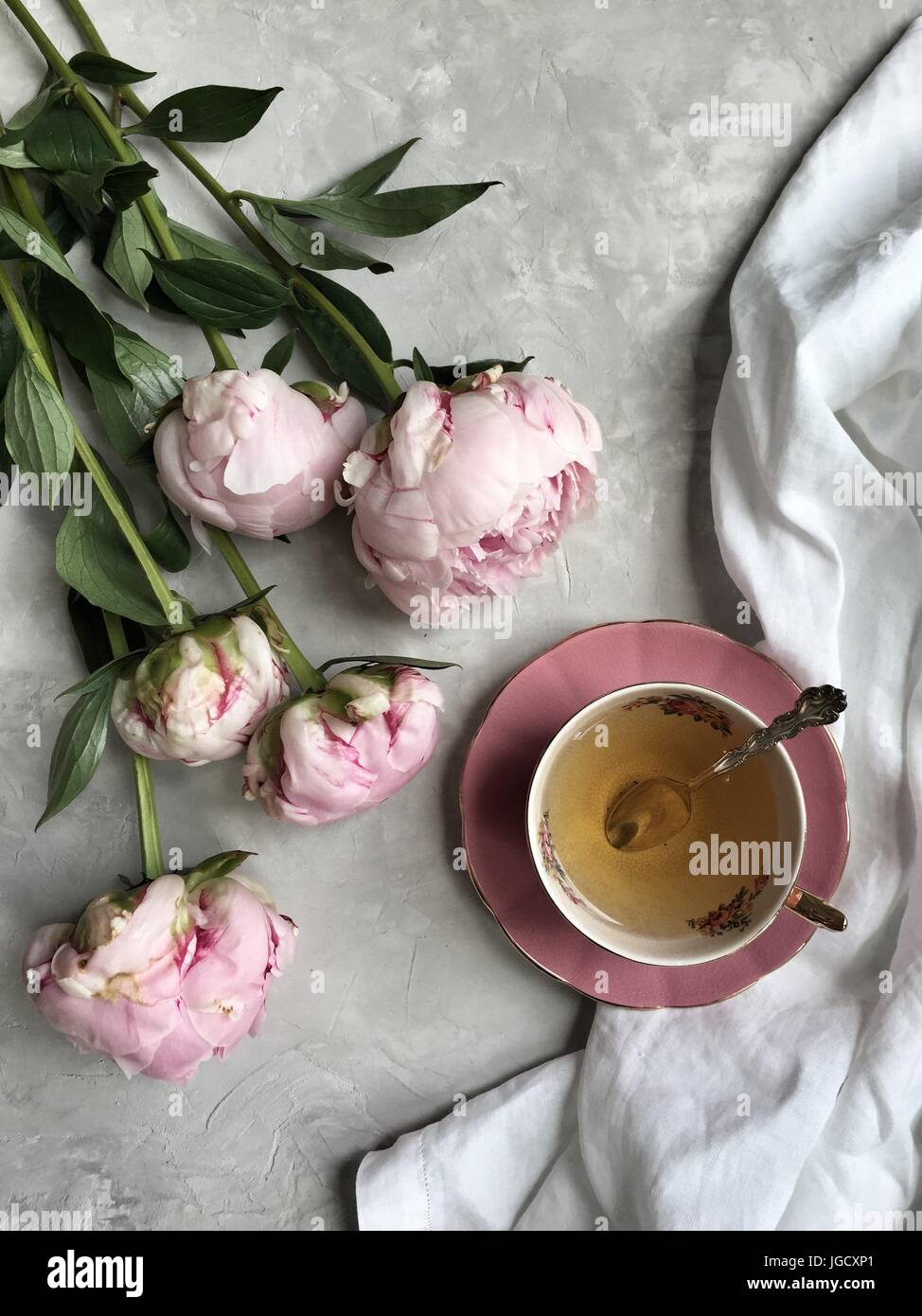 Rosa Pfingstrosen mit einer Tasse Tee Stockfoto