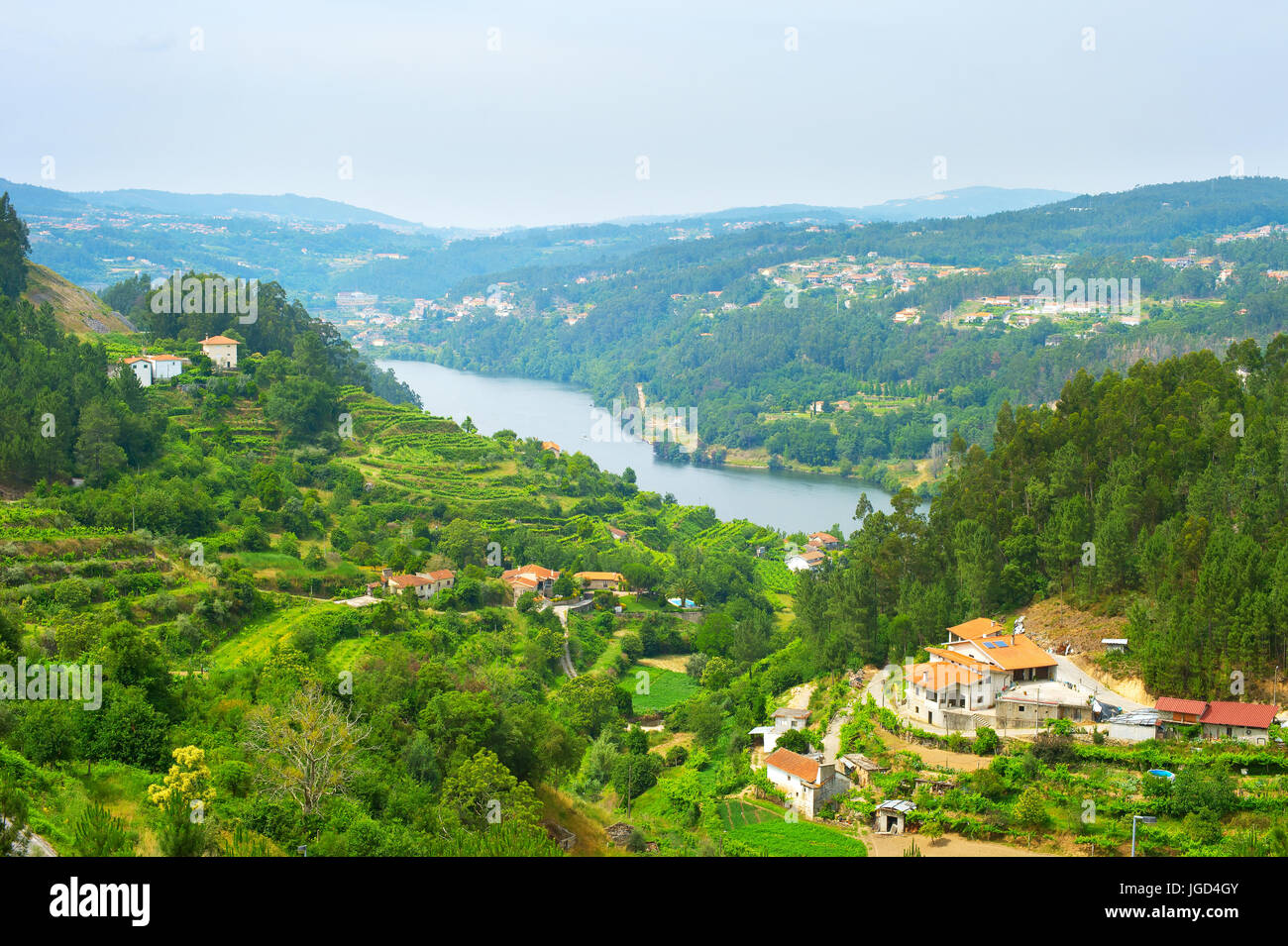 Landschaft der Region Douro Wein an sonnigen Tagen. Portugal Stockfoto