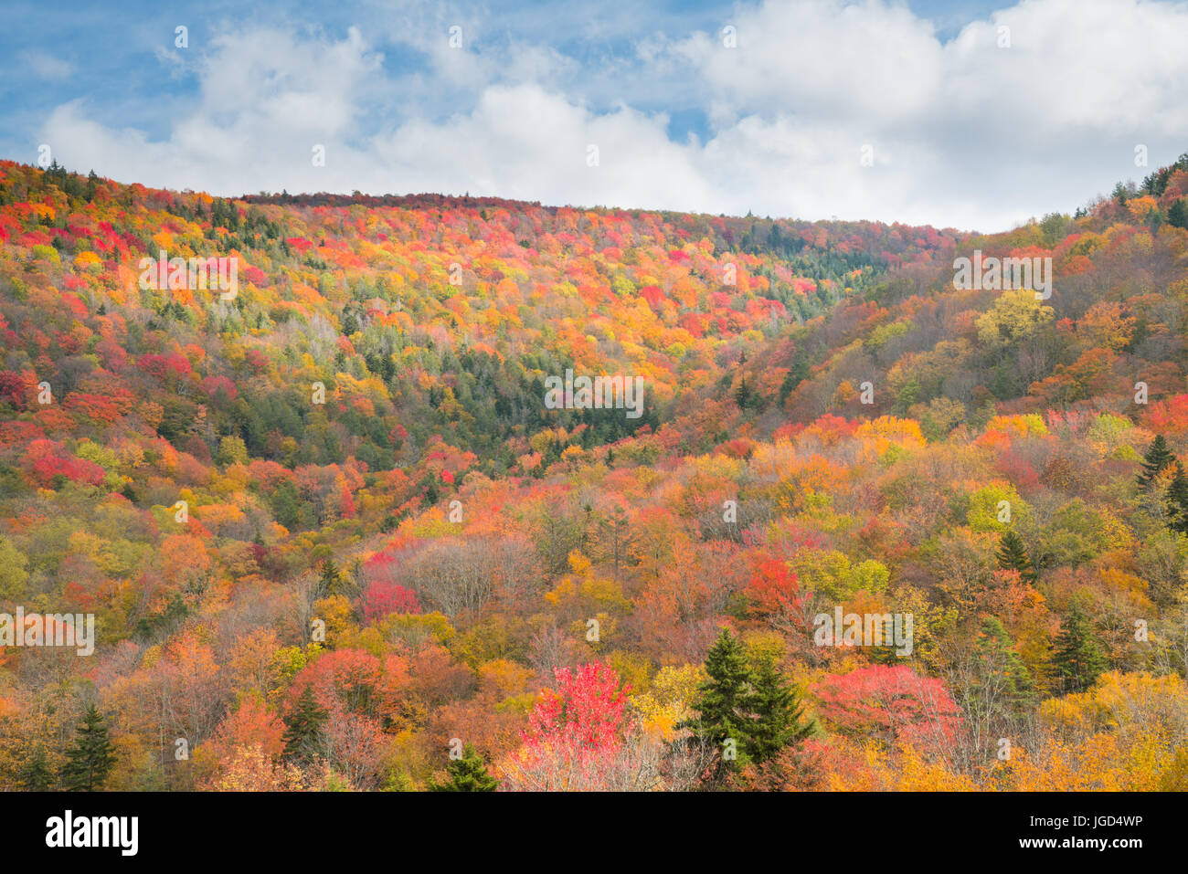 Herbst in den Bergen West Virginia Stockfoto