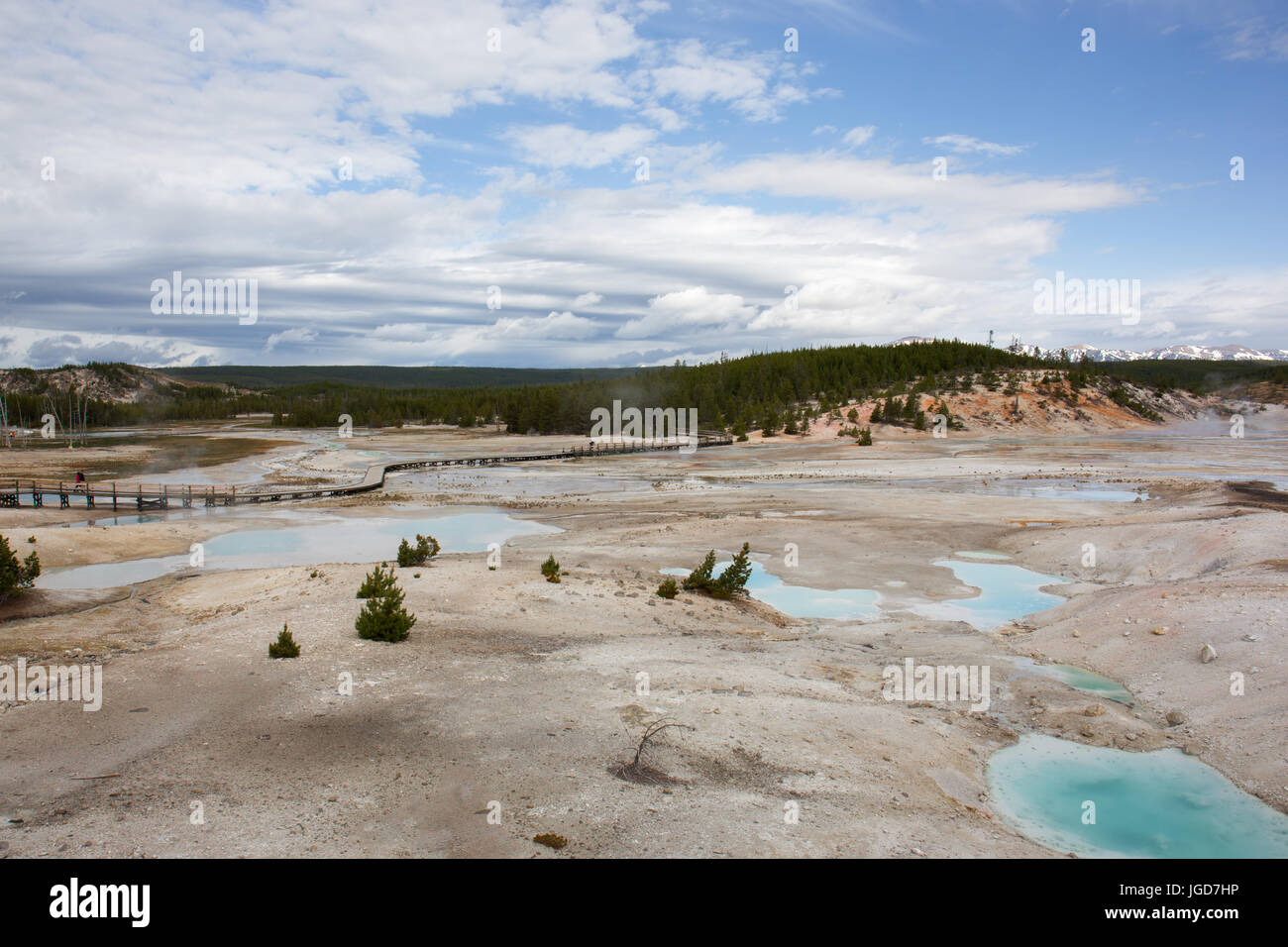 Promenaden im Porzellan-Becken Teil des Norris-Geysir-Becken im Yellowstone-Nationalpark Stockfoto