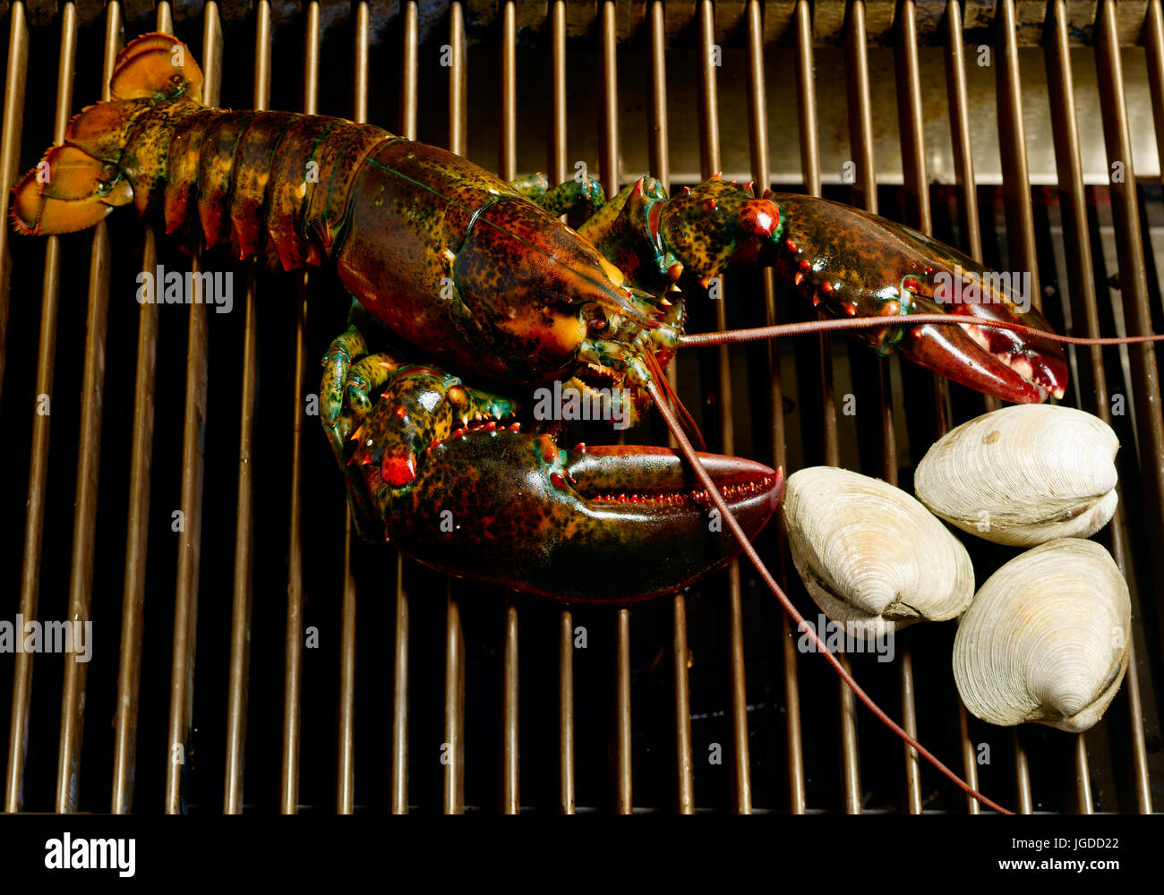 Hummer und Muschel Backen Stockfoto